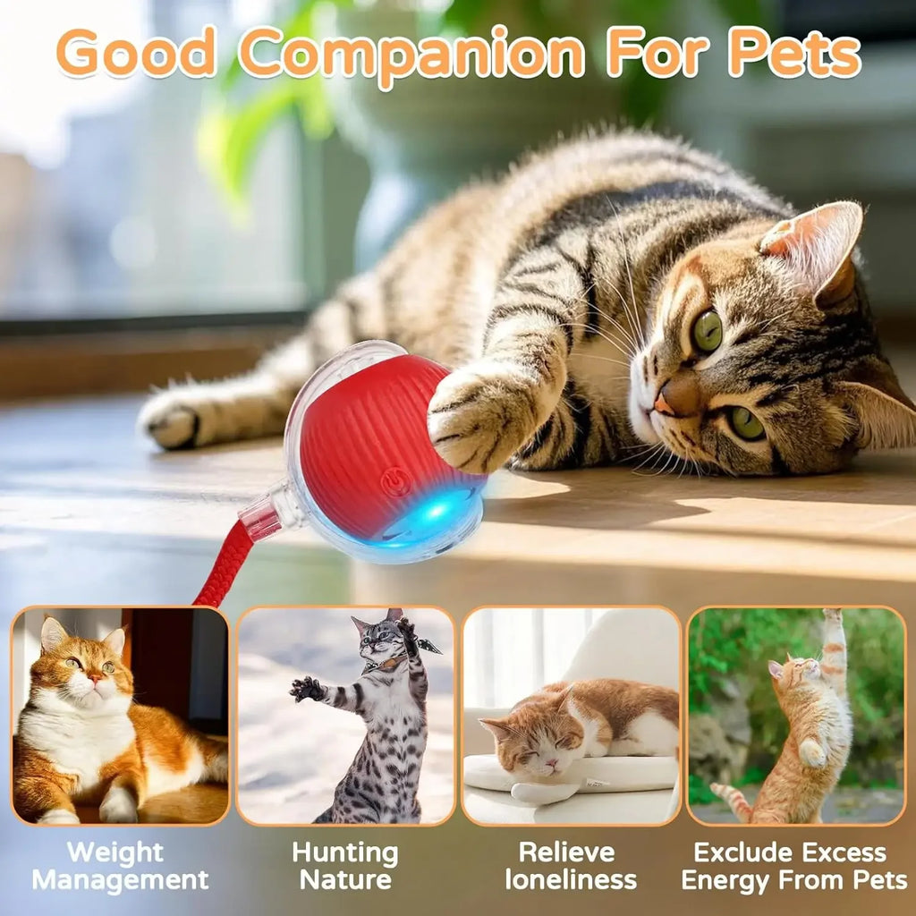 Cheerble Moving Cat Toy Ball