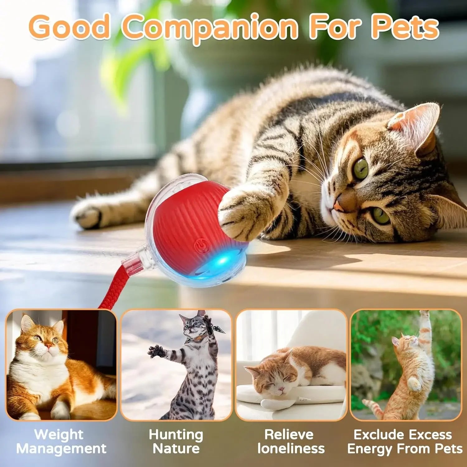 Cheerble Moving Cat Toy Ball