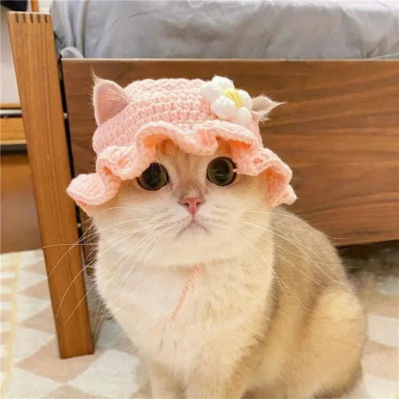 Kittens Knitted Hat Cute Refined Cat Hat Elastic Autumn Winter Pet Hat Puppy Party Photo Shoot Props Decoration Cat Accessories