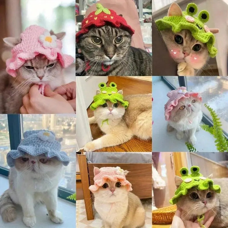 Kittens Knitted Hat Cute Refined Cat Hat Elastic Autumn Winter Pet Hat Puppy Party Photo Shoot Props Decoration Cat Accessories