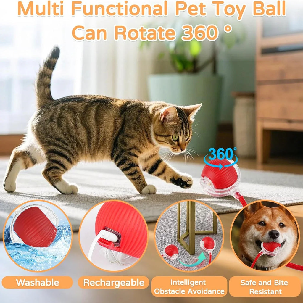 Cheerble Moving Cat Toy Ball
